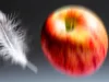 Ciencia: ¿Qué llega antes al suelo la pluma o la manzana?, la gravedad Manzana contra pluma